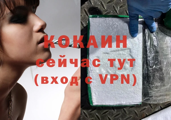 стаф Алексин