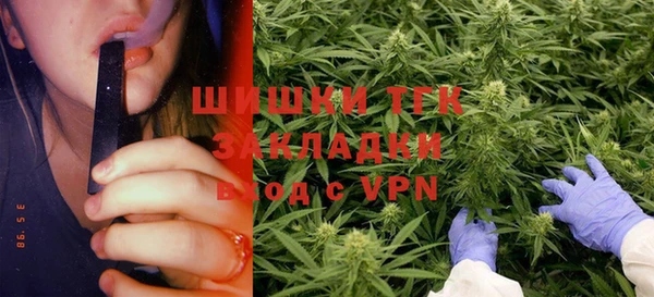 стаф Алексин