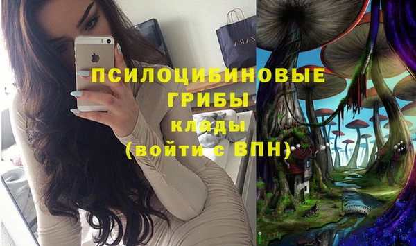 винт Алексеевка