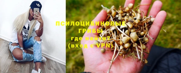 винт Алексеевка